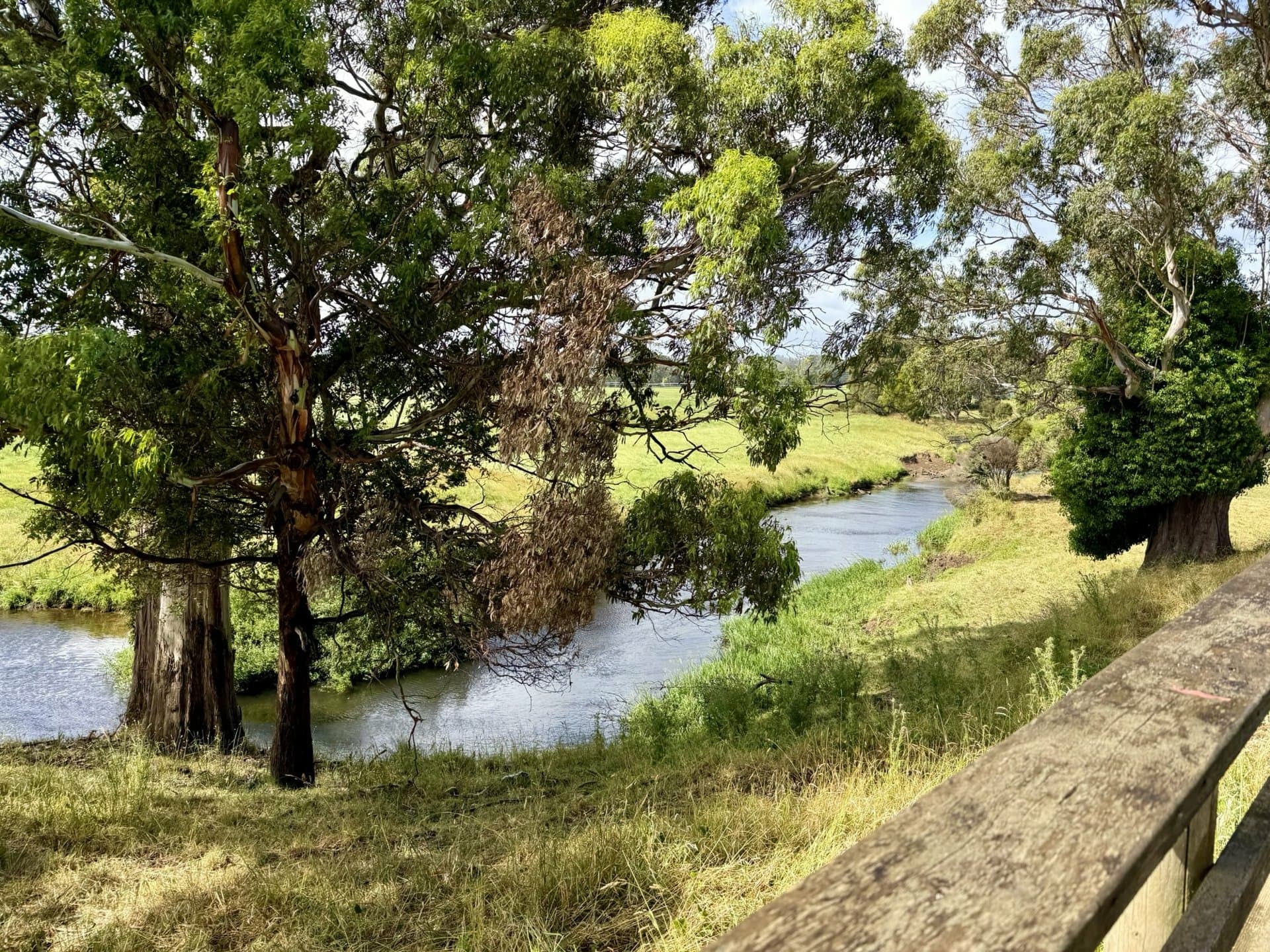 201 Gates Road, Flowerdale, Flowerdale - Thumbnail 4