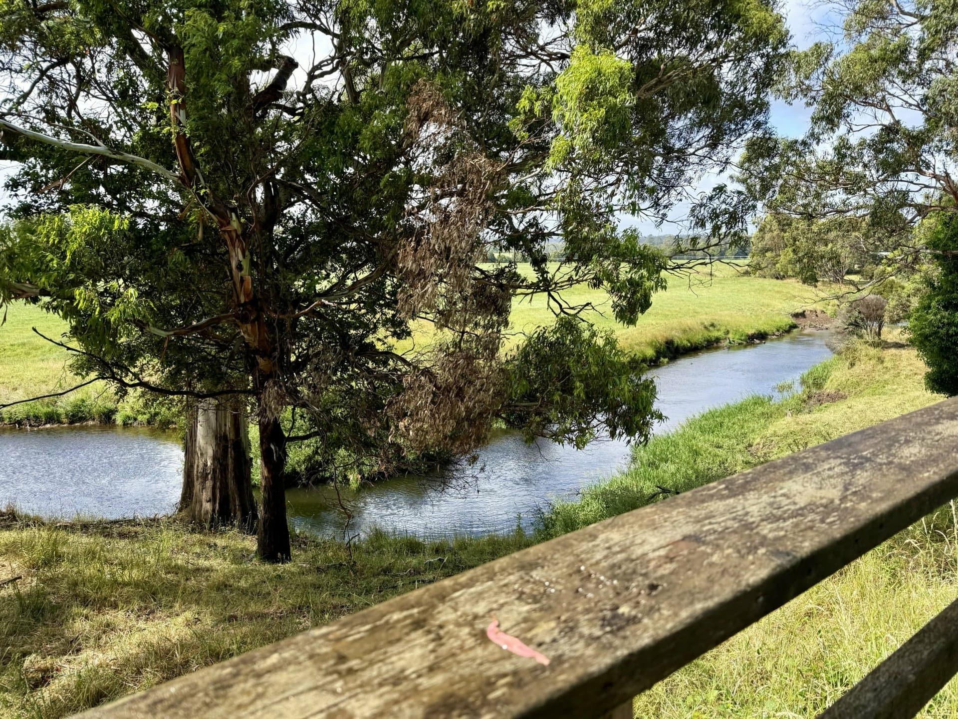 201 Gates Road, Flowerdale, Flowerdale - Thumbnail 7