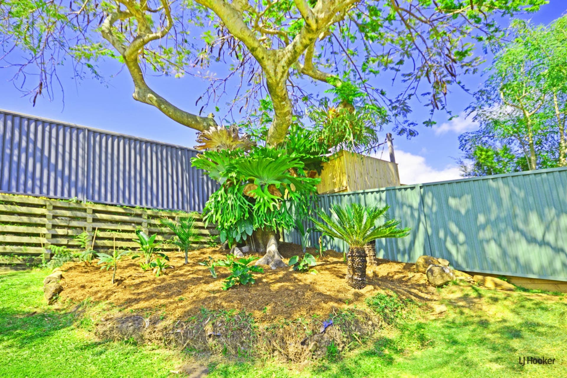1 Nandina Terrace, Banora Point, Banora Point - Thumbnail 8