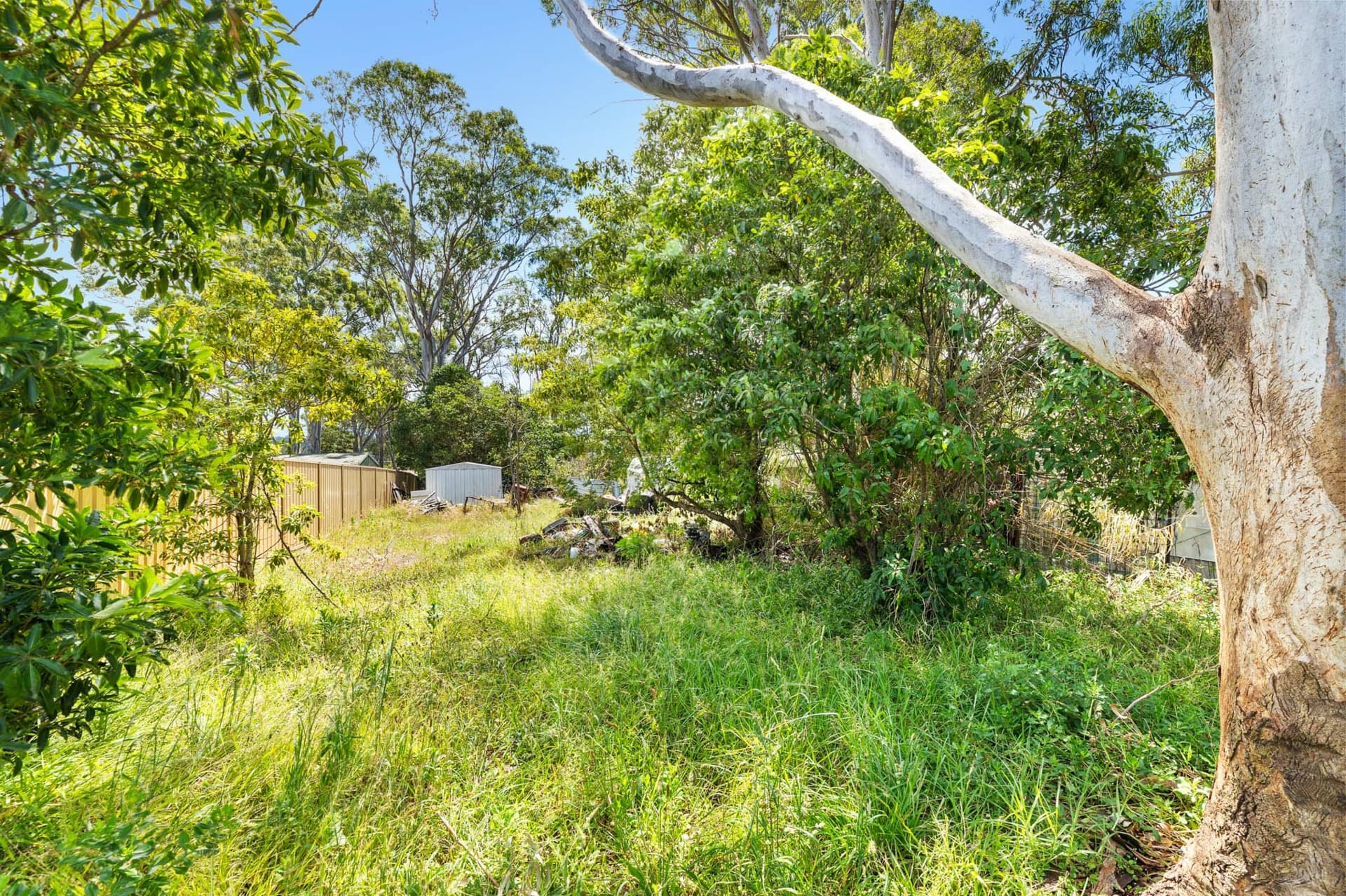 11 - 13 Keightley Street, Moruya, Moruya - Thumbnail 5