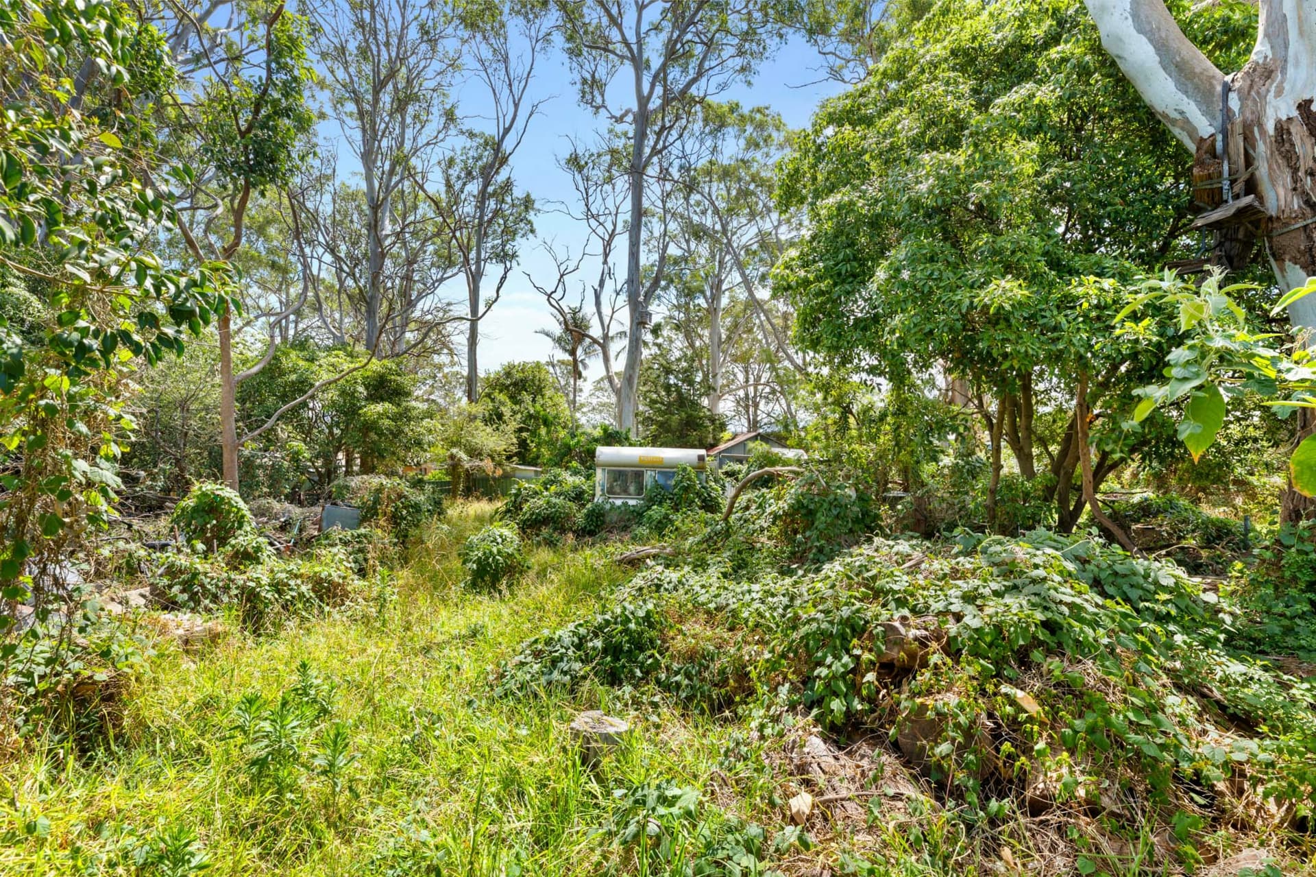 11 - 13 Keightley Street, Moruya, Moruya - Thumbnail 6