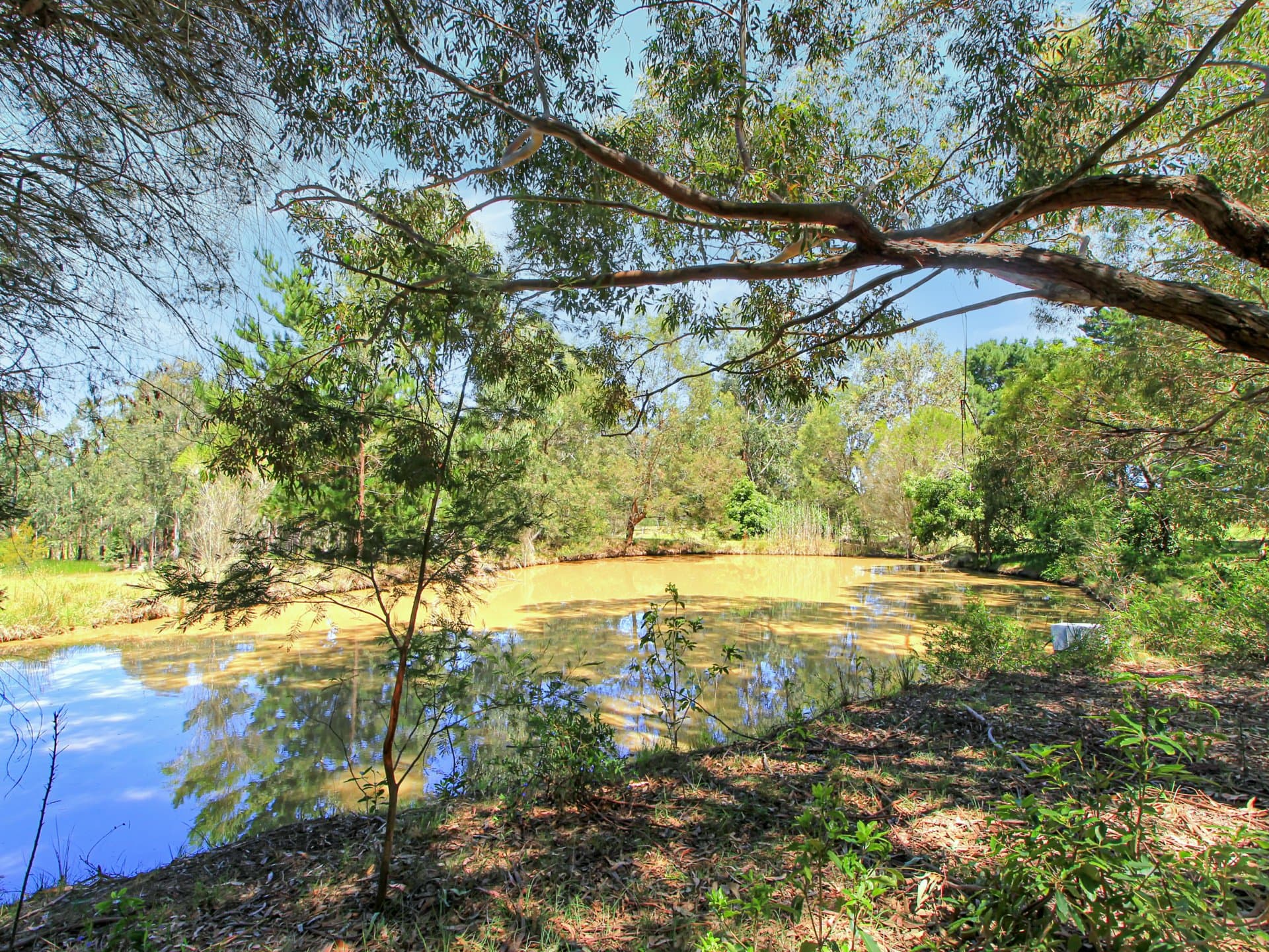 4 Moyle Court, Nicholson, Nicholson - Image 1