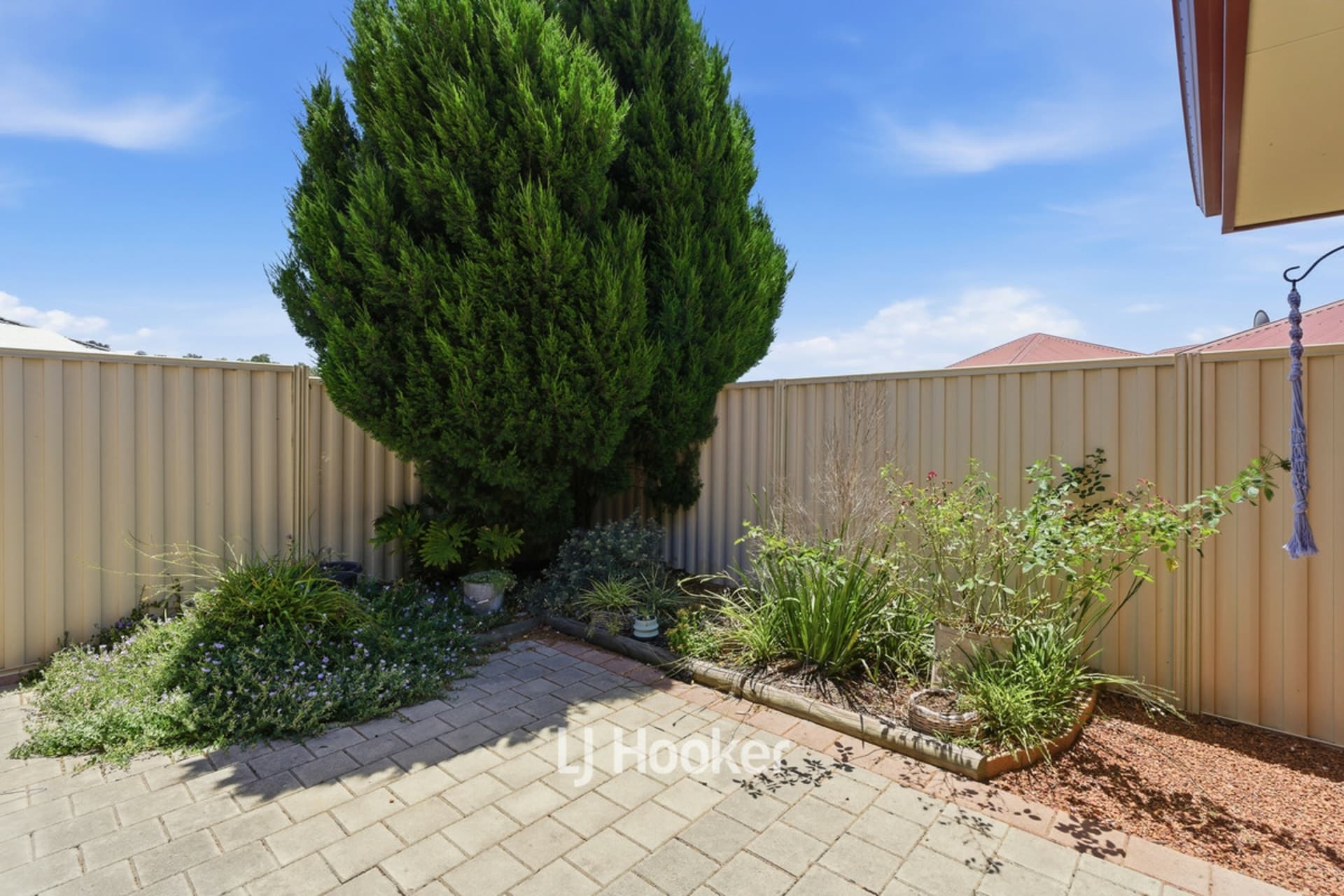 3/8 Ash Mews, Collie, Collie - Image 1