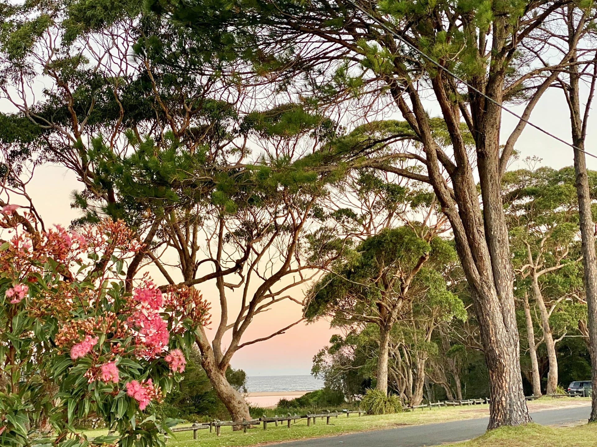 5 Koolyn Drive, Cudmirrah, Cudmirrah - Thumbnail 3