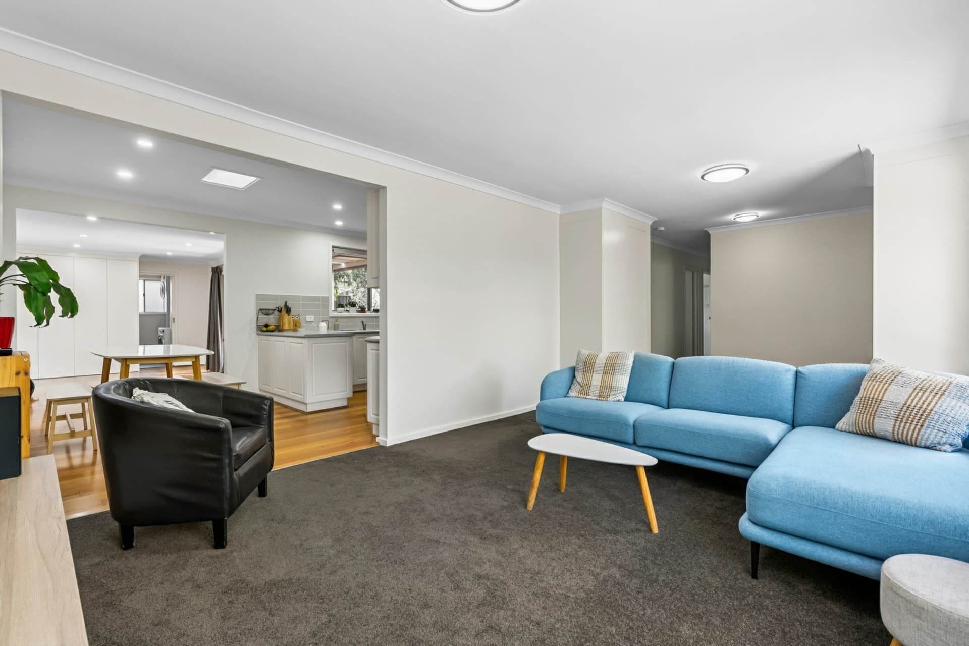 49 Dennis Street, Garran, Garran - Thumbnail 4