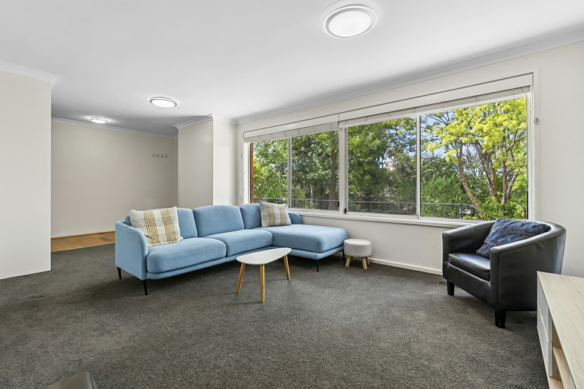 49 Dennis Street, Garran, Garran - Thumbnail 5