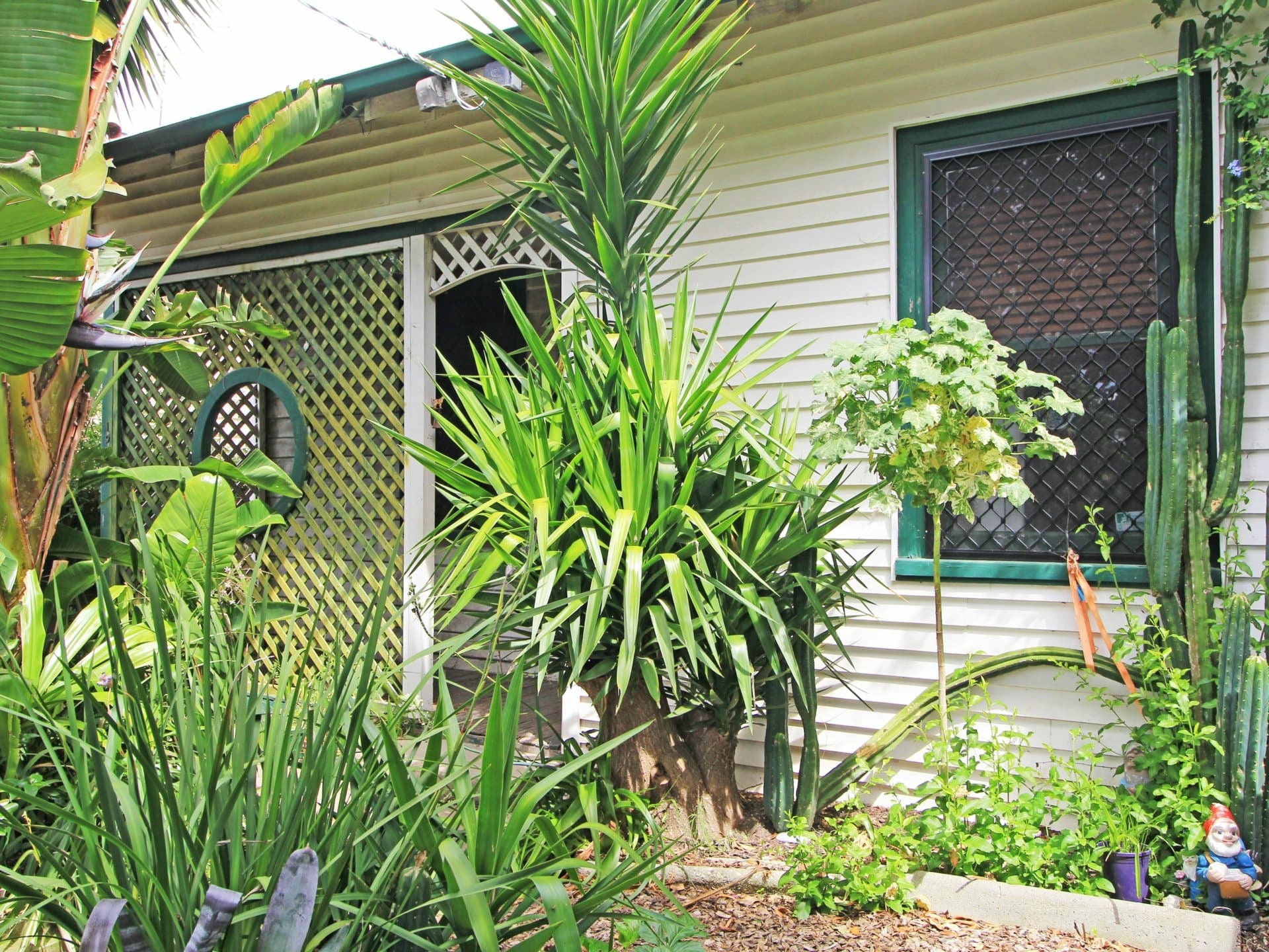 195 Nicholson Street, Bairnsdale, Bairnsdale - Image 1