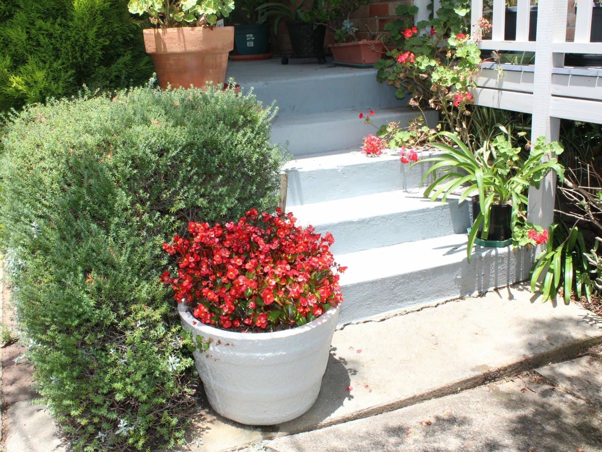 1 Robinson Avenue, Glen Innes, Glen Innes - Thumbnail 4