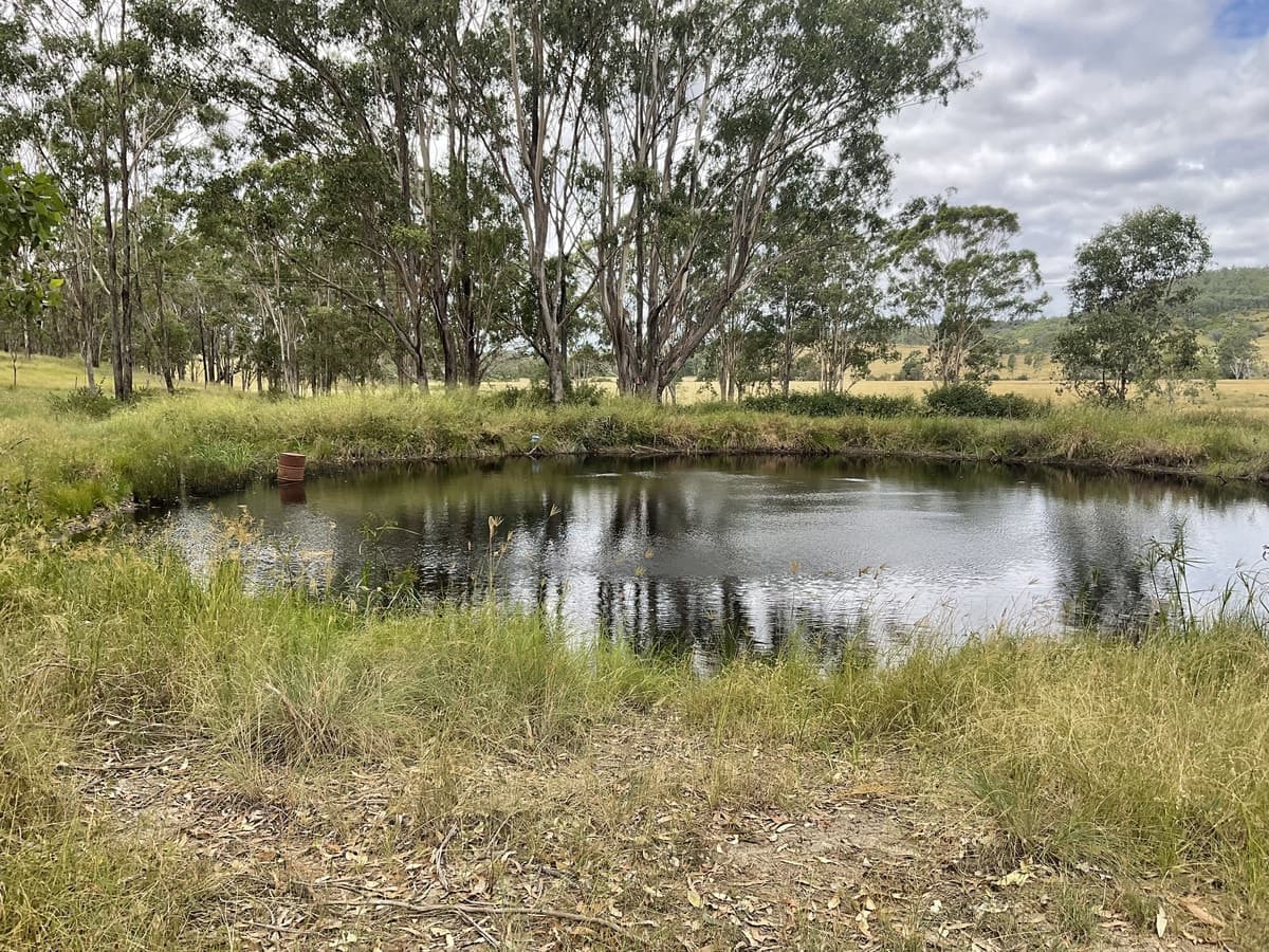 Lot 17 Palms Road, COOYAR QLD 4402, Cooyar - Thumbnail 4