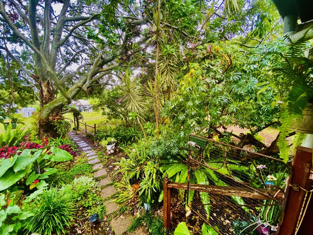 50 Knaggs Court, Blackbutt QLD 4314, Blackbutt - Thumbnail 4