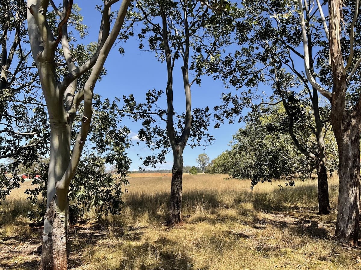 18 Merle Court, YARRAMAN QLD 4614, Yarraman - Thumbnail 5
