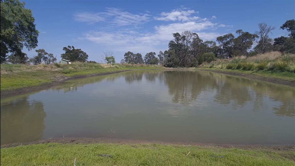 125 Hartmanns Road, IRVINGDALE QLD 4404, Irvingdale - Thumbnail 3