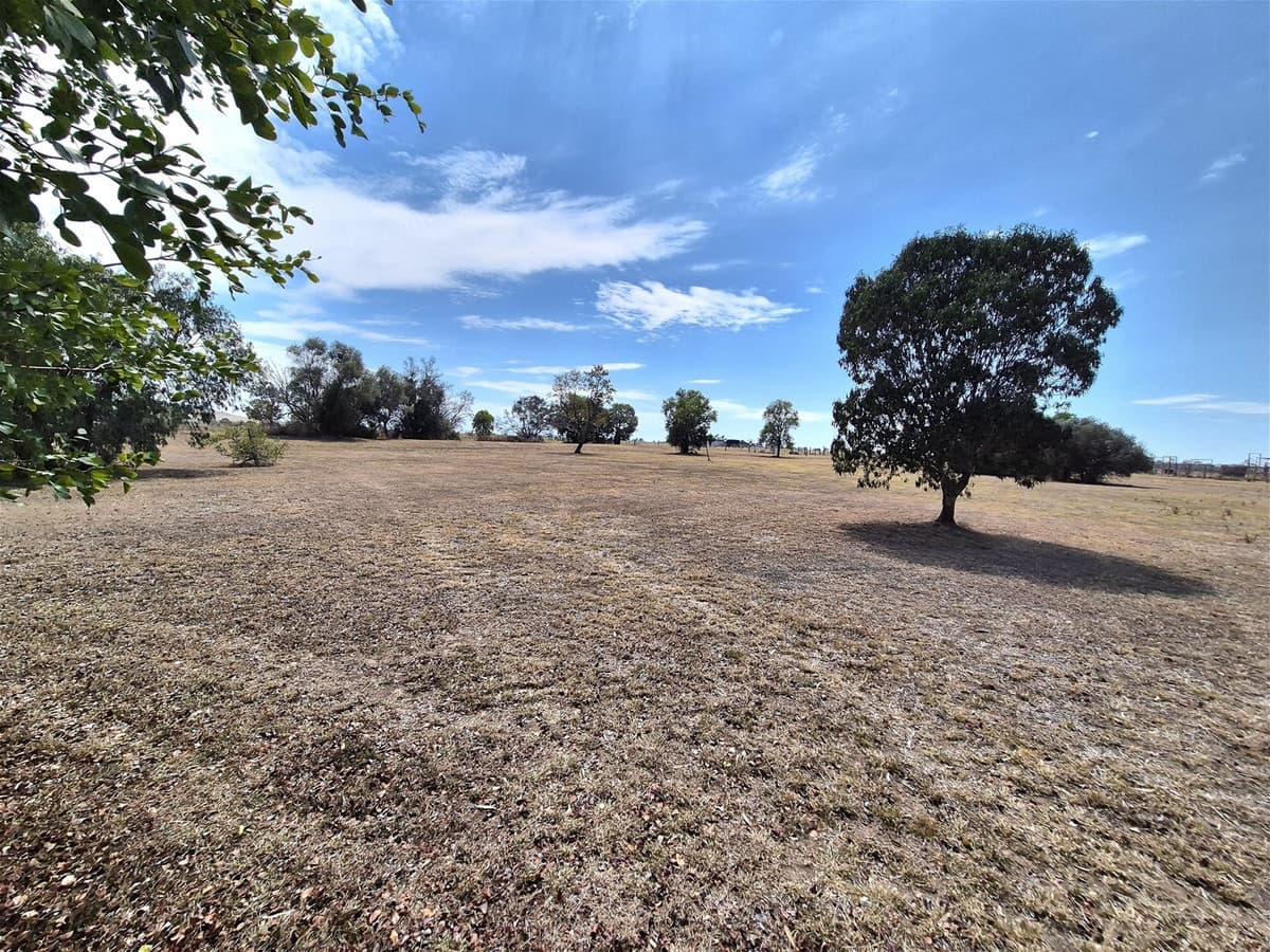 125 Hartmanns Road, IRVINGDALE QLD 4404, Irvingdale - Thumbnail 5