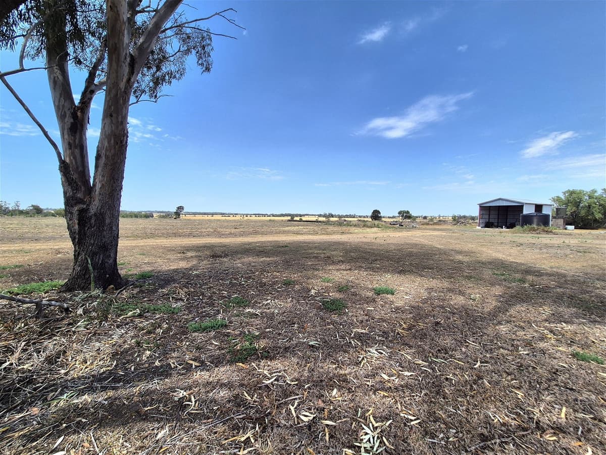 125 Hartmanns Road, IRVINGDALE QLD 4404, Irvingdale - Thumbnail 7