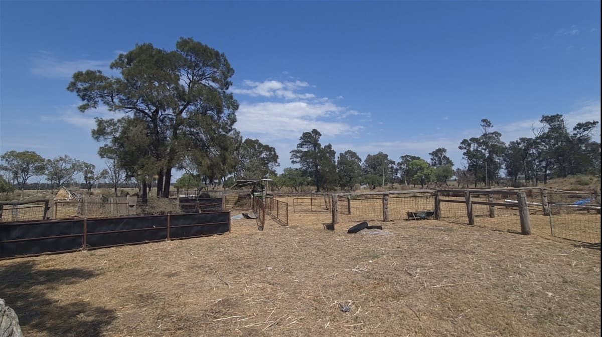 125 Hartmanns Road, IRVINGDALE QLD 4404, Irvingdale - Thumbnail 8
