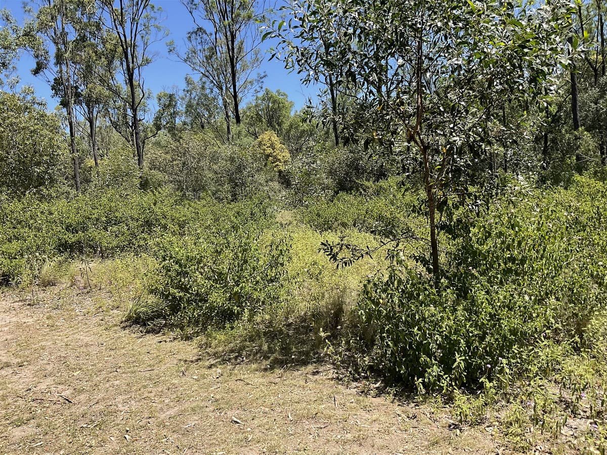 80 Pamela Drive, TAROMEO QLD 4314, Taromeo - Thumbnail 6