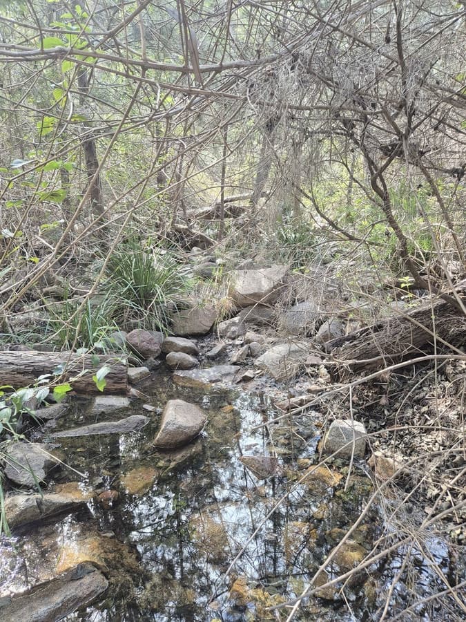 20 Acres with Views, $355,000, Teelah - Thumbnail 2