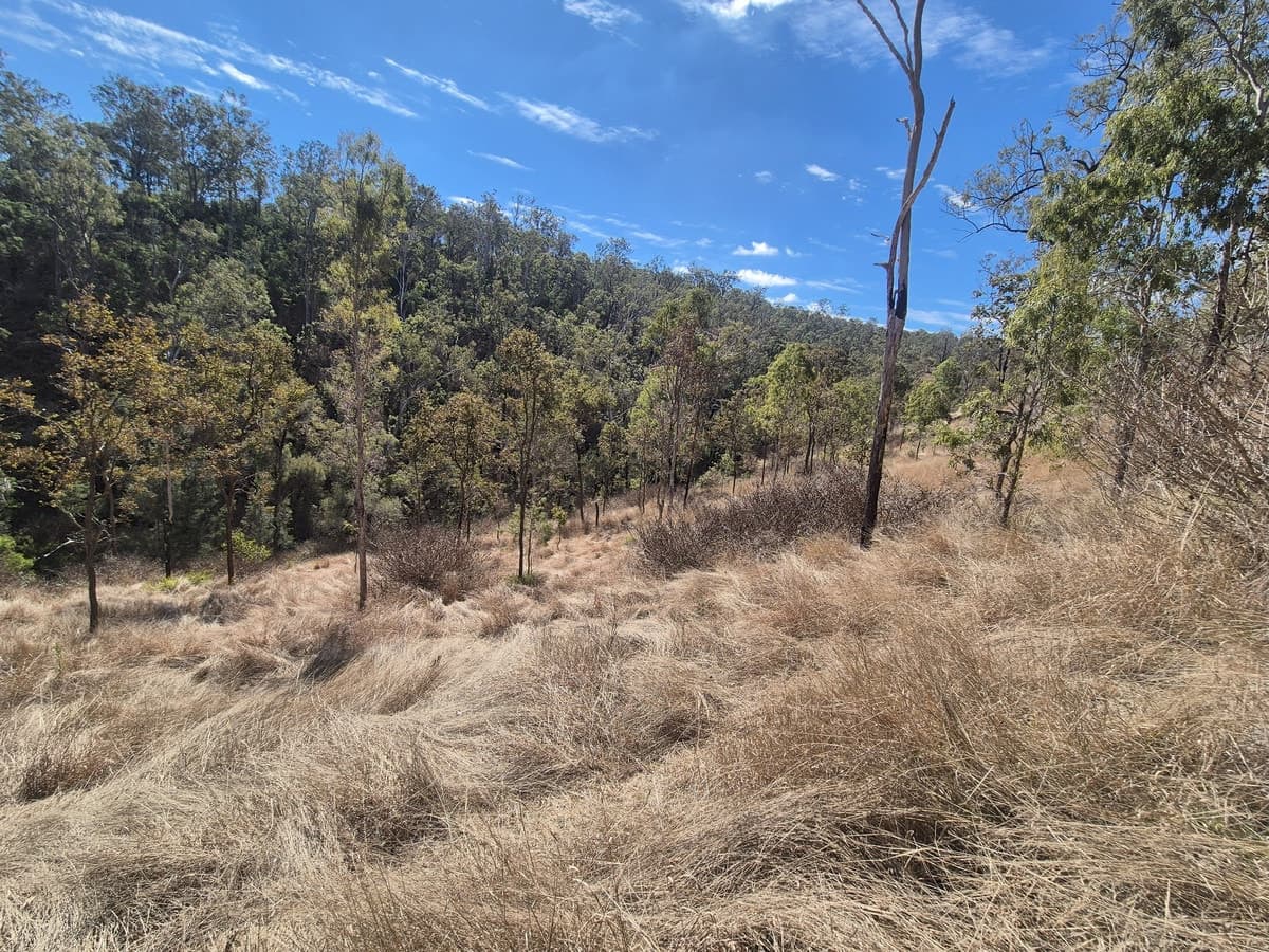 20 Acres with Views, $355,000, Teelah - Thumbnail 4
