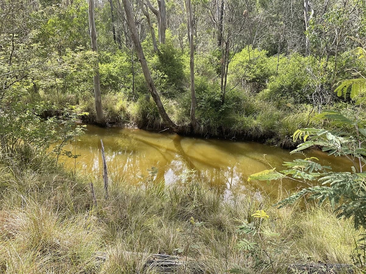 20 ACRES OF VACANT LAND, $310,000, South Nanango - Thumbnail 4