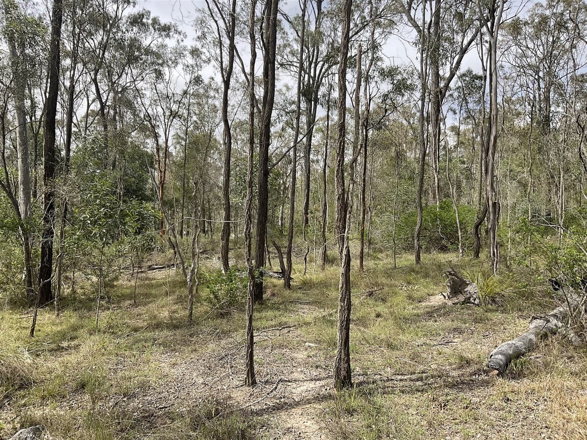 20 ACRES OF VACANT LAND, $310,000, South Nanango - Thumbnail 7