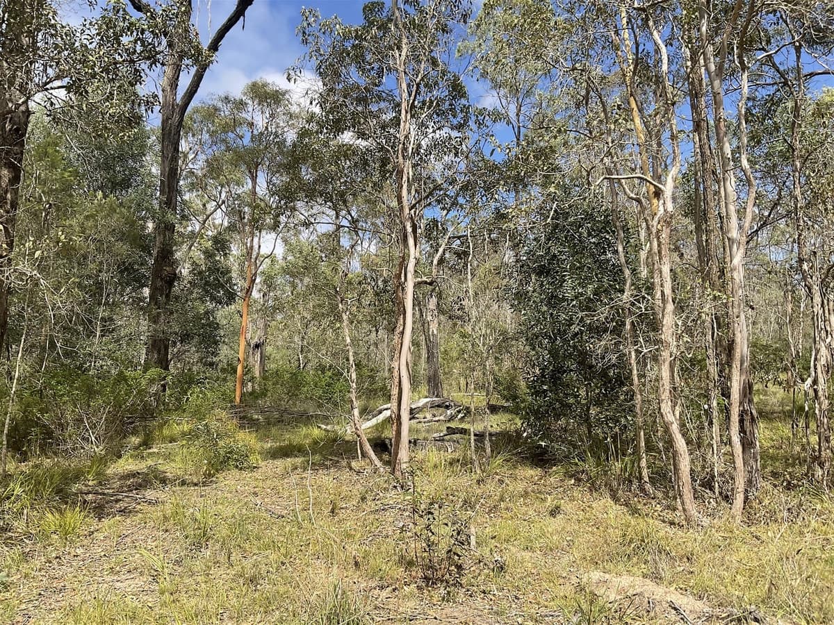 20 ACRES OF VACANT LAND, $310,000, South Nanango - Thumbnail 8