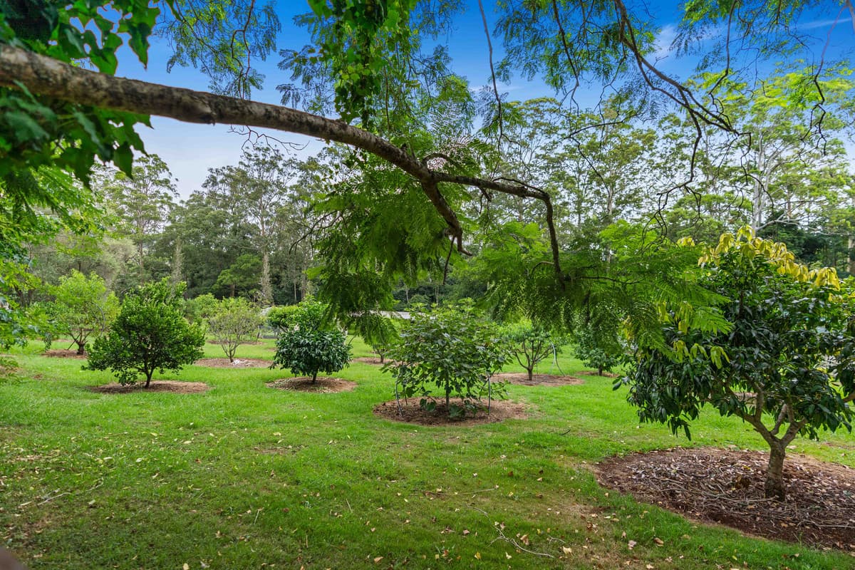 1 Murphy Road, Ravensbourne QLD 4352, Ravensbourne - Thumbnail 5