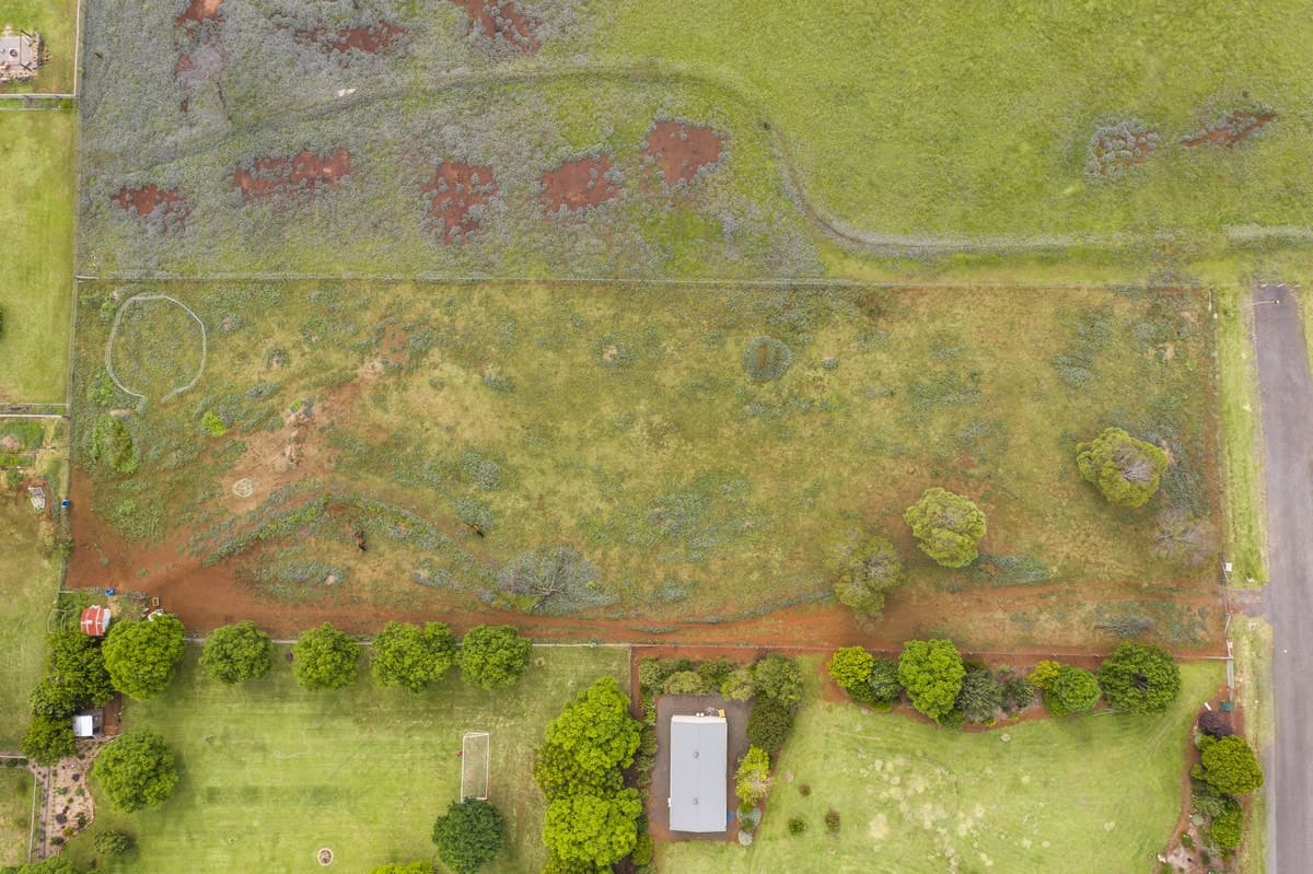 3 Tiamo Street, Cabarlah QLD 4352, Cabarlah - Thumbnail 4