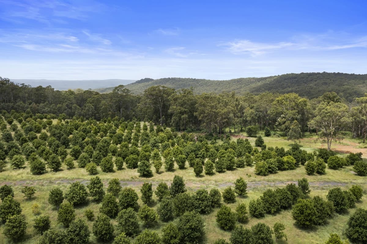85 Robinson Road, Geham QLD 4352, Geham - Thumbnail 5
