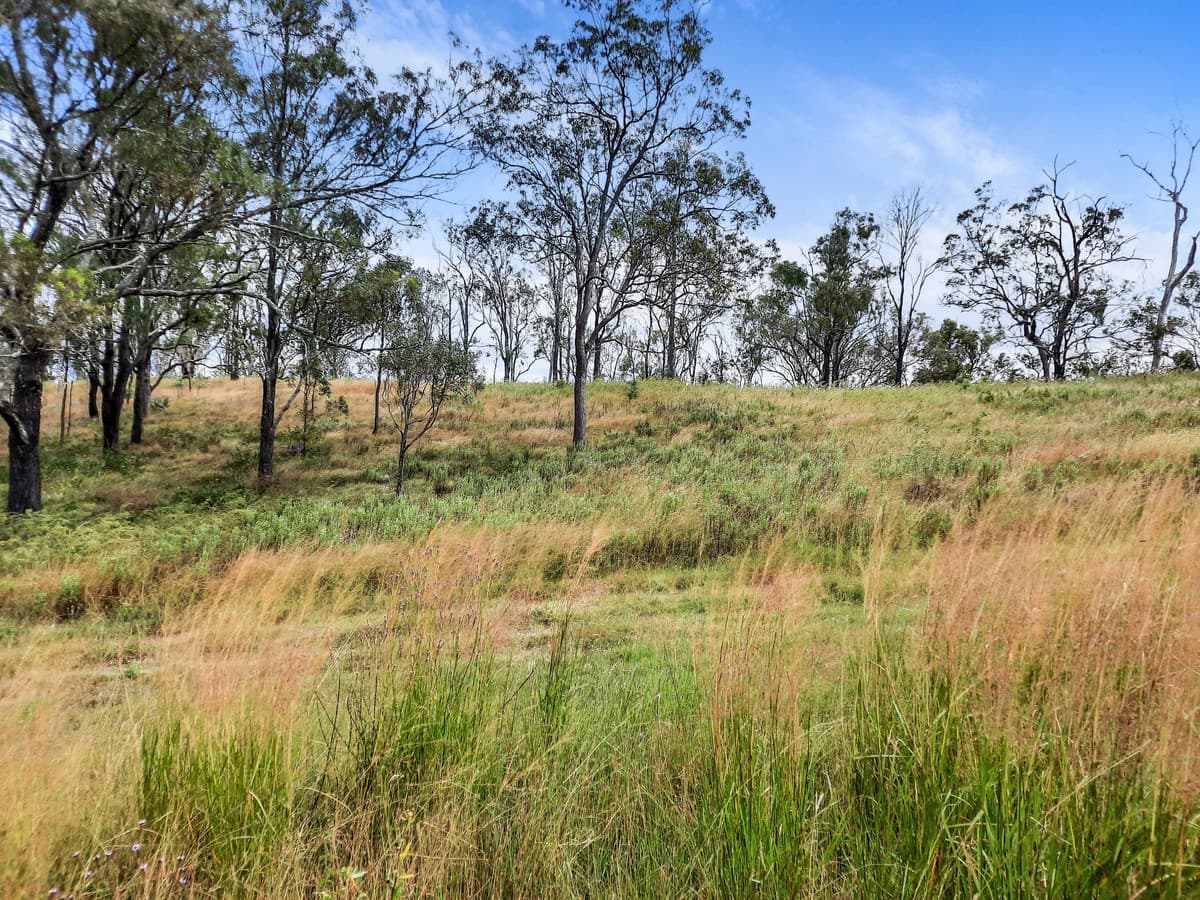 Lot 104 Andrews Dip Road, Crows Nest QLD 4355, Crows Nest - Thumbnail 2