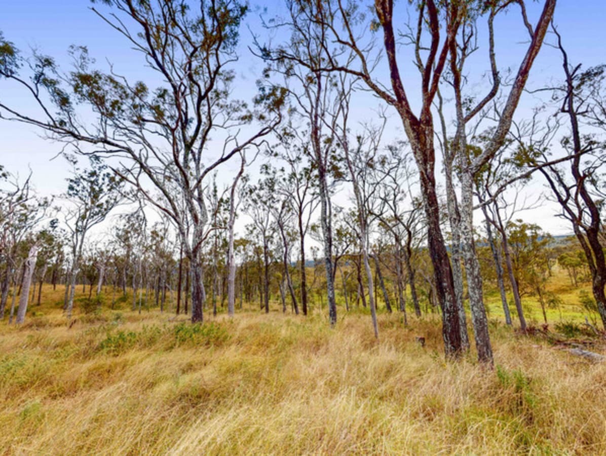 Lot 104 Andrews Dip Road, Crows Nest QLD 4355, Crows Nest - Thumbnail 4