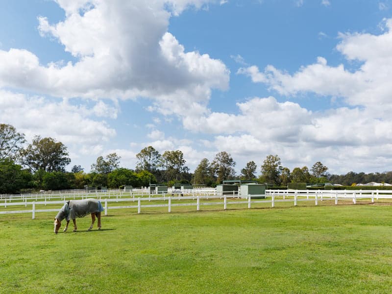 1/2a Frogmore Road, Carnegie, VIC, Moggill - Thumbnail 7