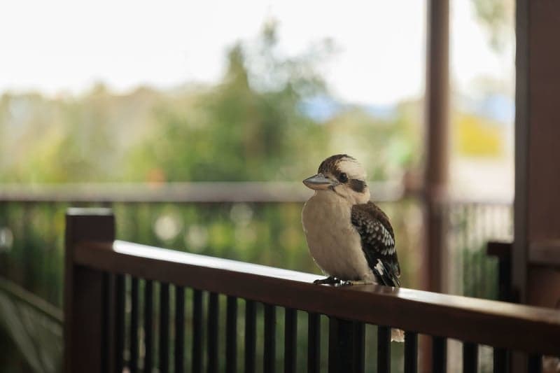 7/655 Victoria Street, Abbotsford, VIC, Forest Lake - Thumbnail 6