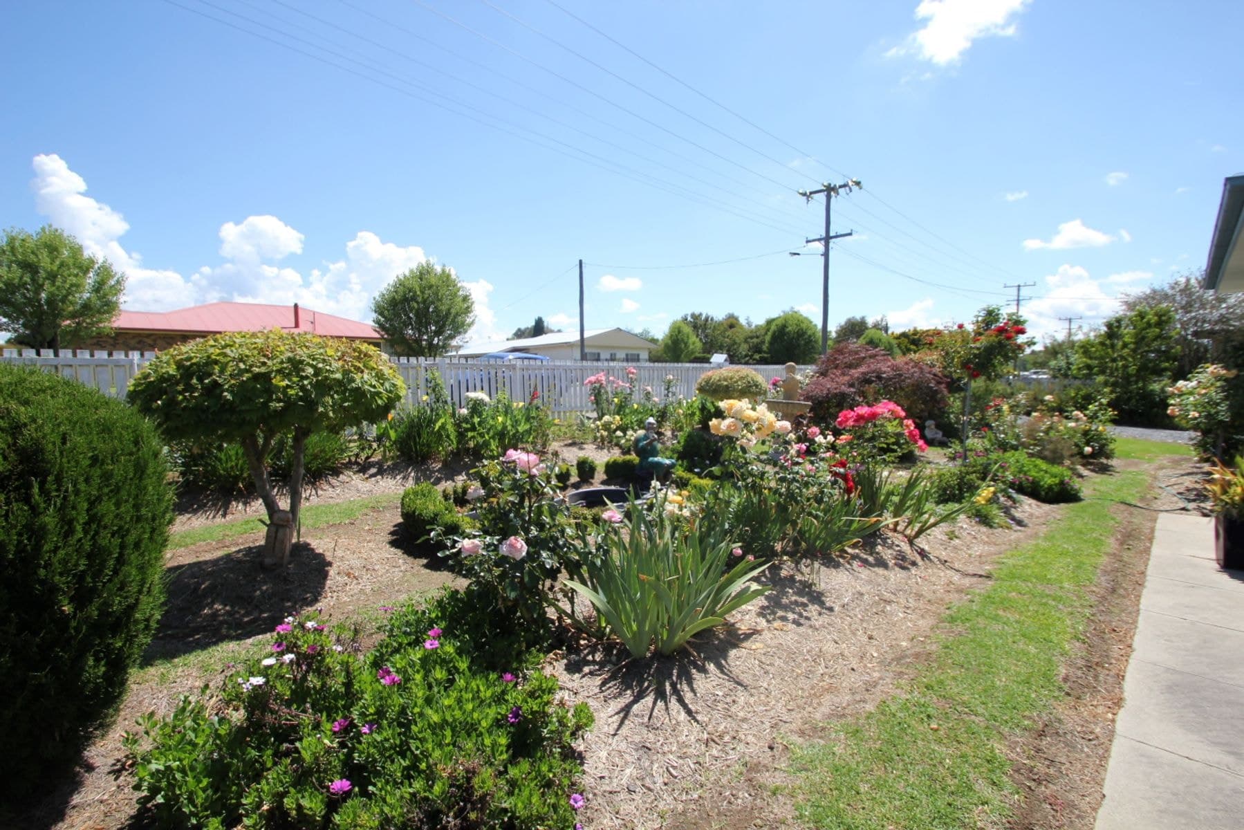 59 Manners Street, Tenterfield NSW 2372, Tenterfield - Image 1