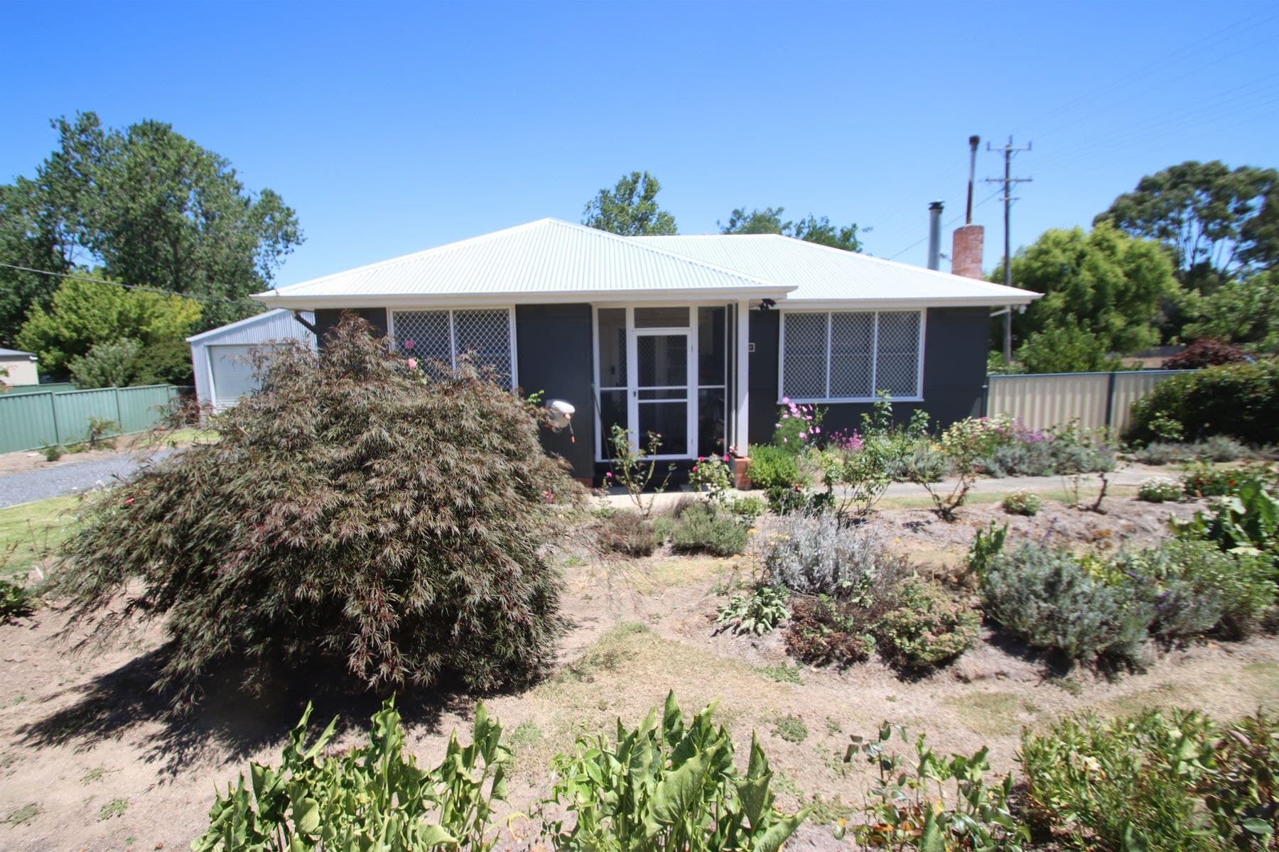 59 Manners Street, Tenterfield NSW 2372, Tenterfield - Thumbnail 2