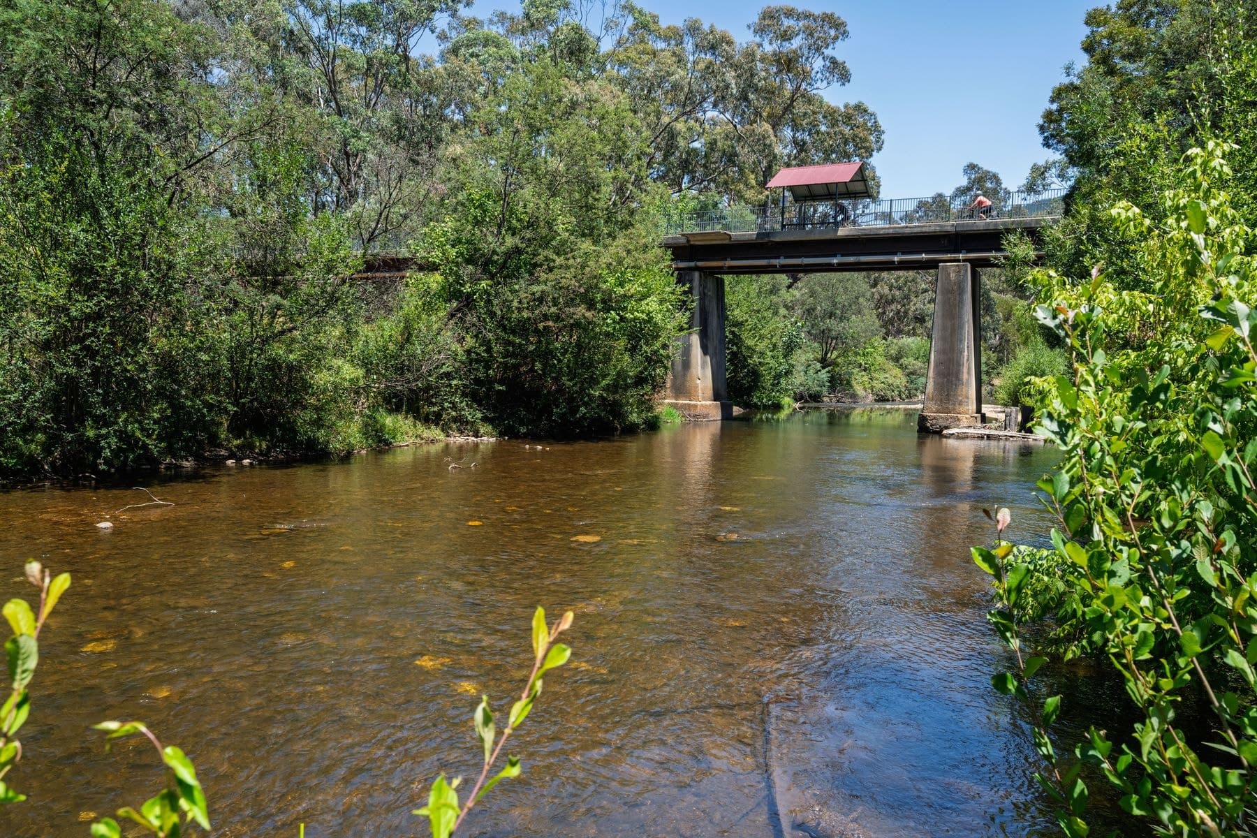 13 Gledhills Lane, Bright VIC 3741, Bright - Thumbnail 2