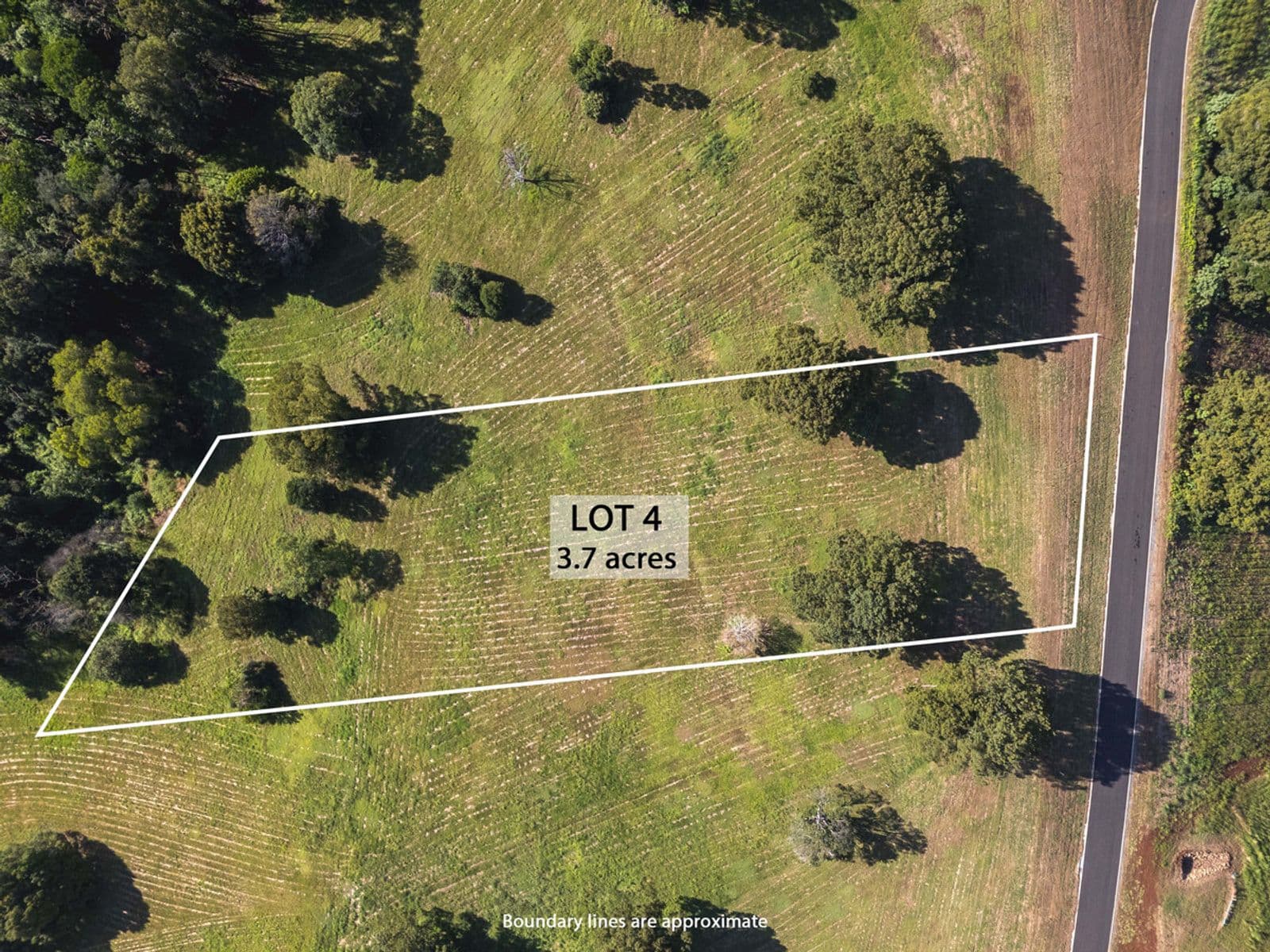 Lot 4/400 Coorabell Road, Coorabell NSW 2479, Coorabell - Thumbnail 2
