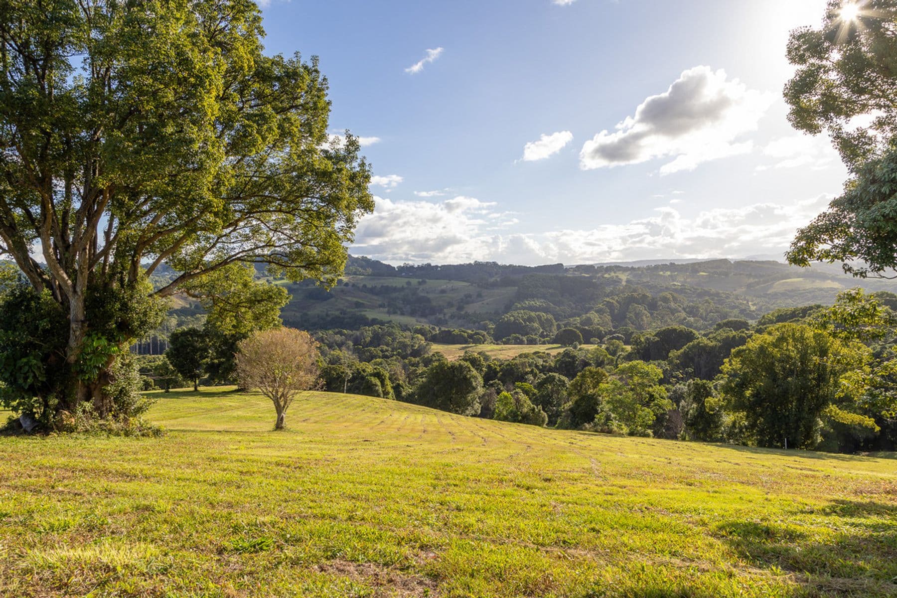 Lot 4/400 Coorabell Road, Coorabell NSW 2479, Coorabell - Thumbnail 5