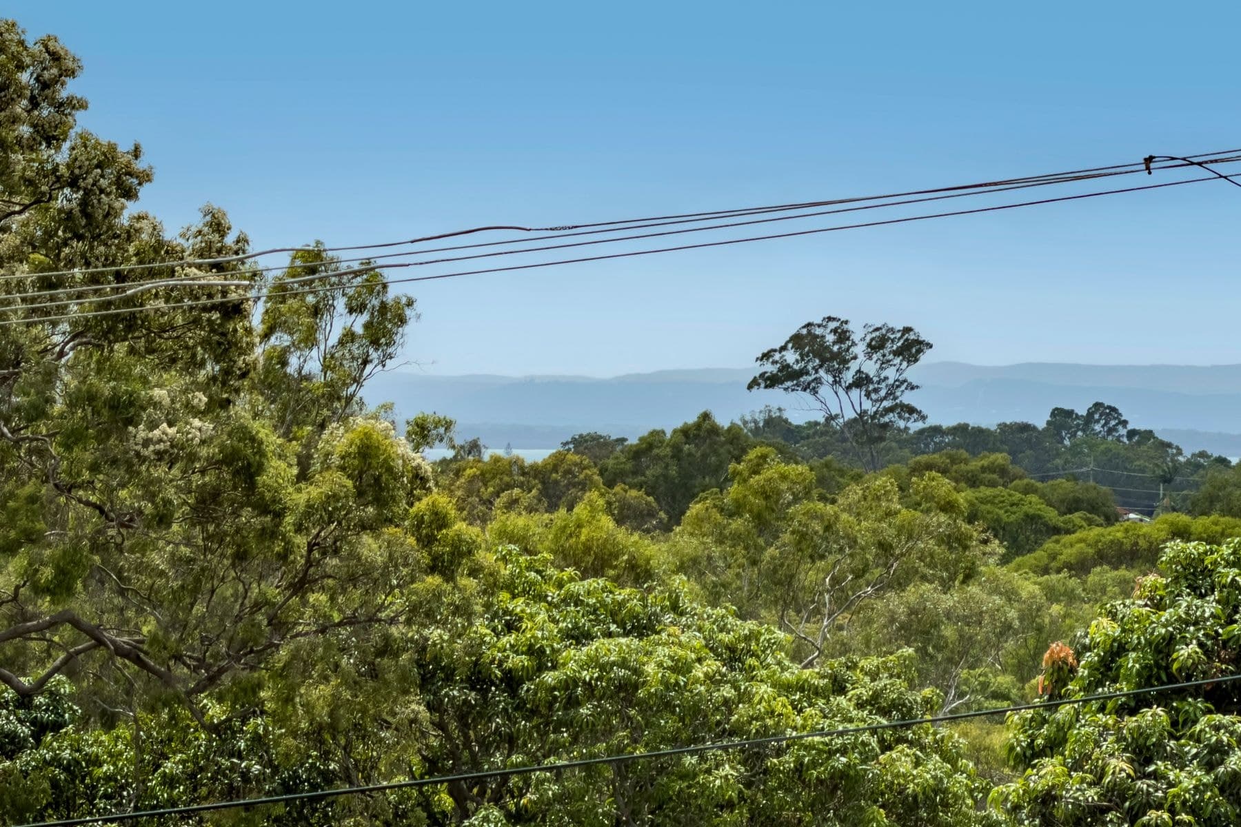 4 Dean Road, Alexandra Hills QLD 4161, Alexandra Hills - Thumbnail 6