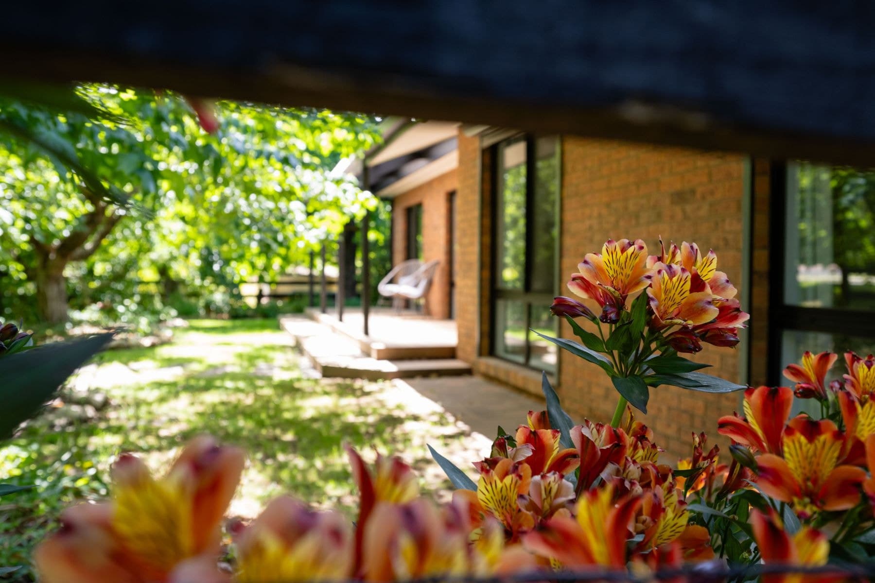 2 Showers Avenue, Bright VIC 3741, Bright - Image 1