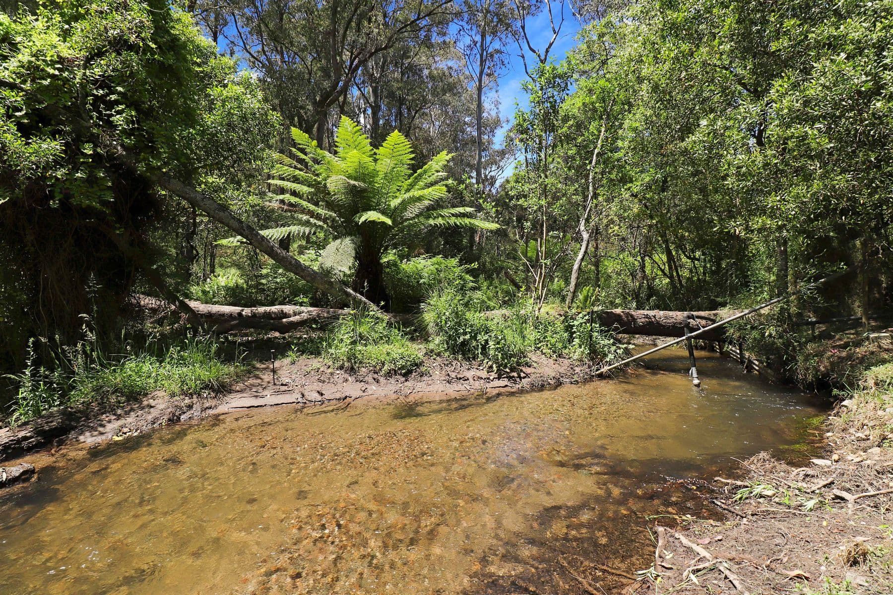 50 Summit View Road, Tawonga South VIC 3698, Tawonga South - Thumbnail 3