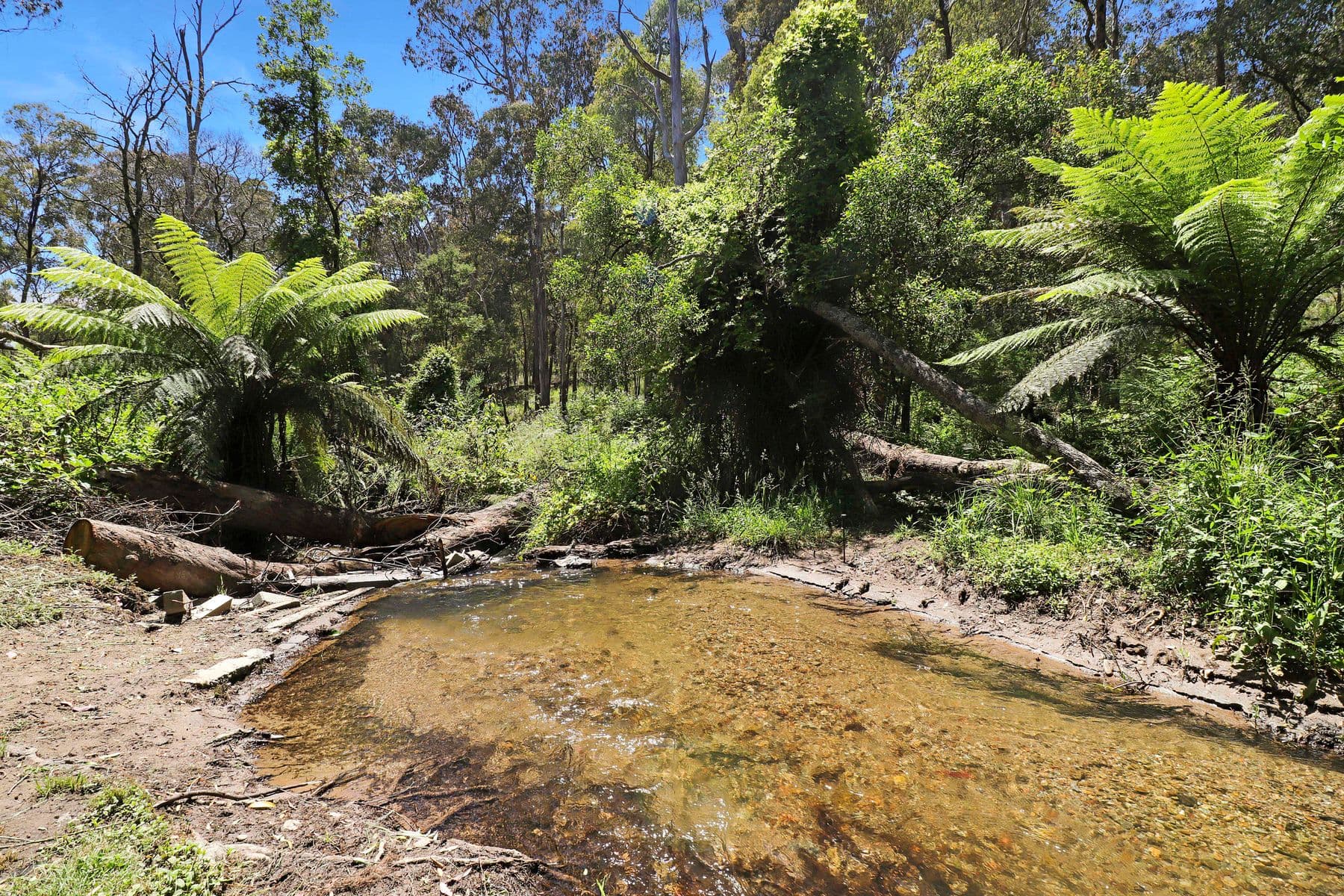 50 Summit View Road, Tawonga South VIC 3698, Tawonga South - Thumbnail 7