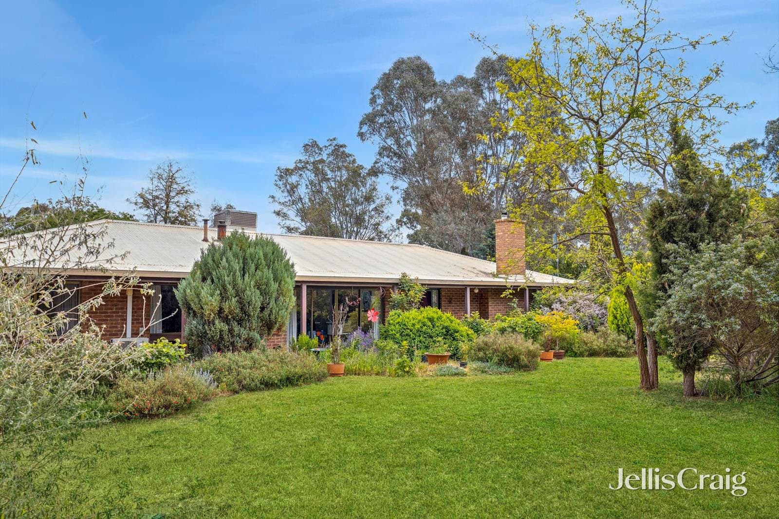8 Trudgeons Road, Welshmans Reef, Welshmans Reef - Thumbnail 2