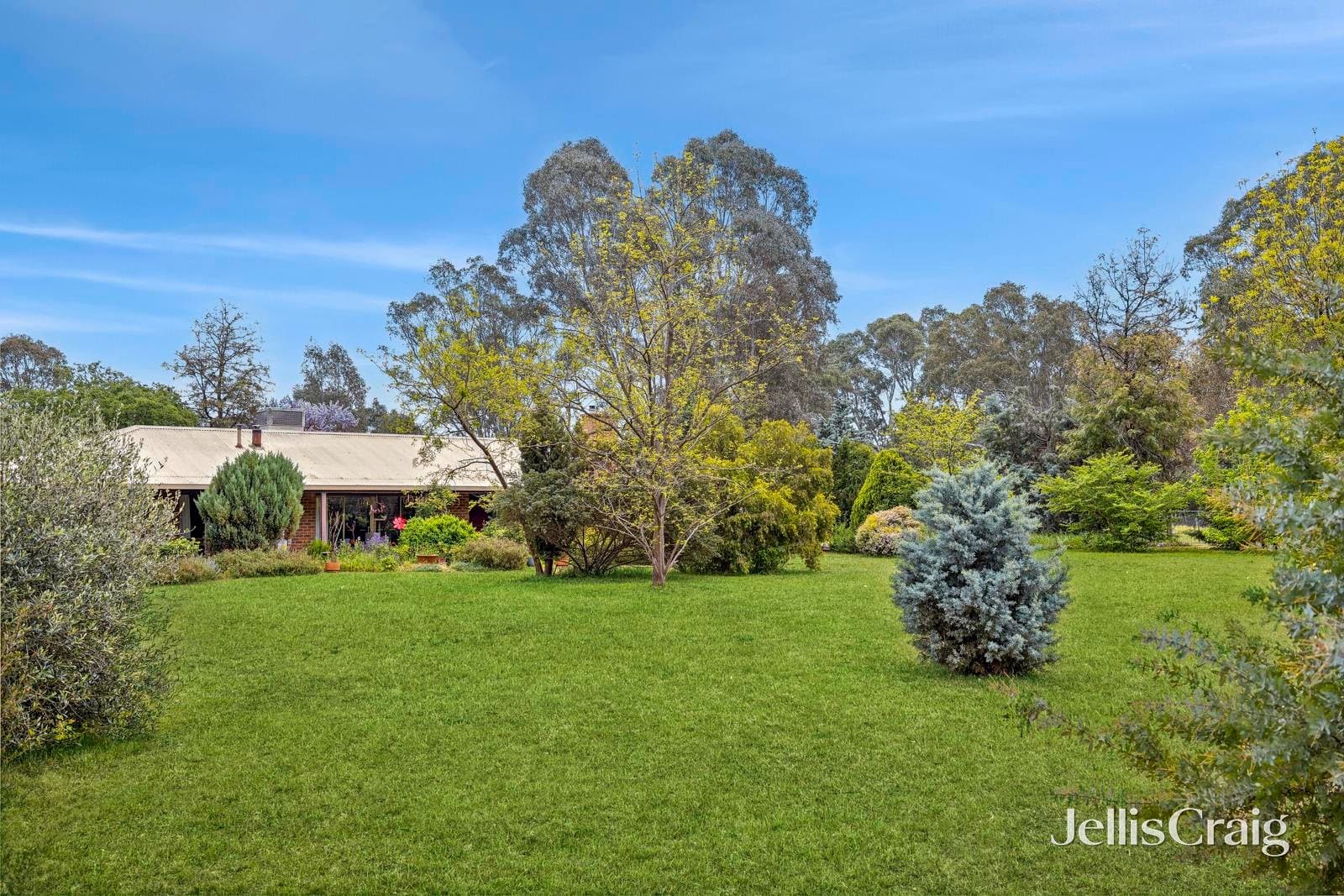 8 Trudgeons Road, Welshmans Reef, Welshmans Reef - Thumbnail 3