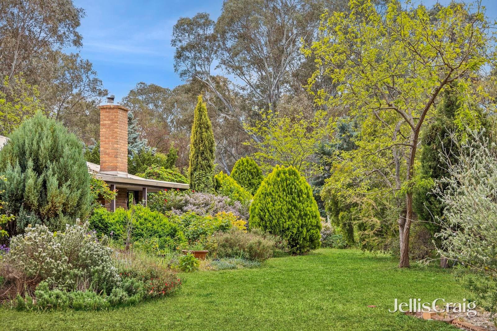 8 Trudgeons Road, Welshmans Reef, Welshmans Reef - Thumbnail 4