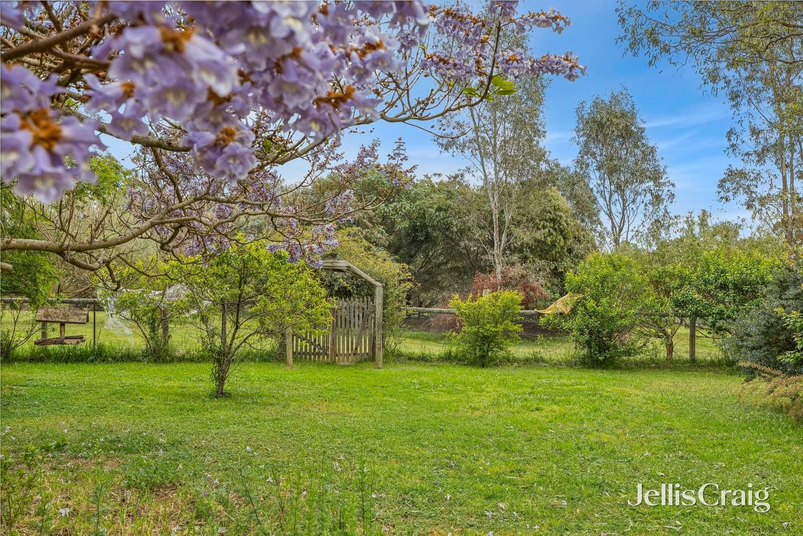 8 Trudgeons Road, Welshmans Reef, Welshmans Reef - Thumbnail 5
