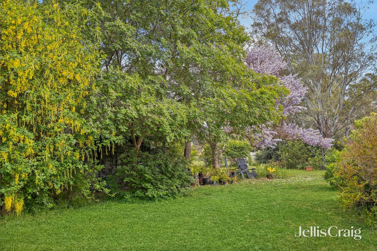 8 Trudgeons Road, Welshmans Reef, Welshmans Reef - Thumbnail 6