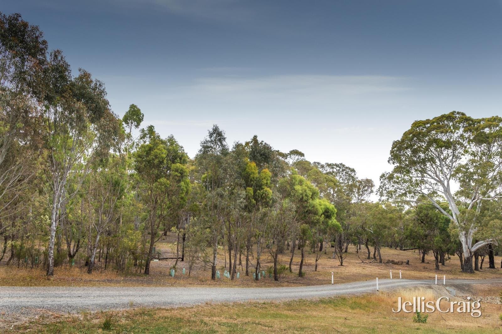 31 Silver Wattle Street, Yallambie, Yallambie - Image 1