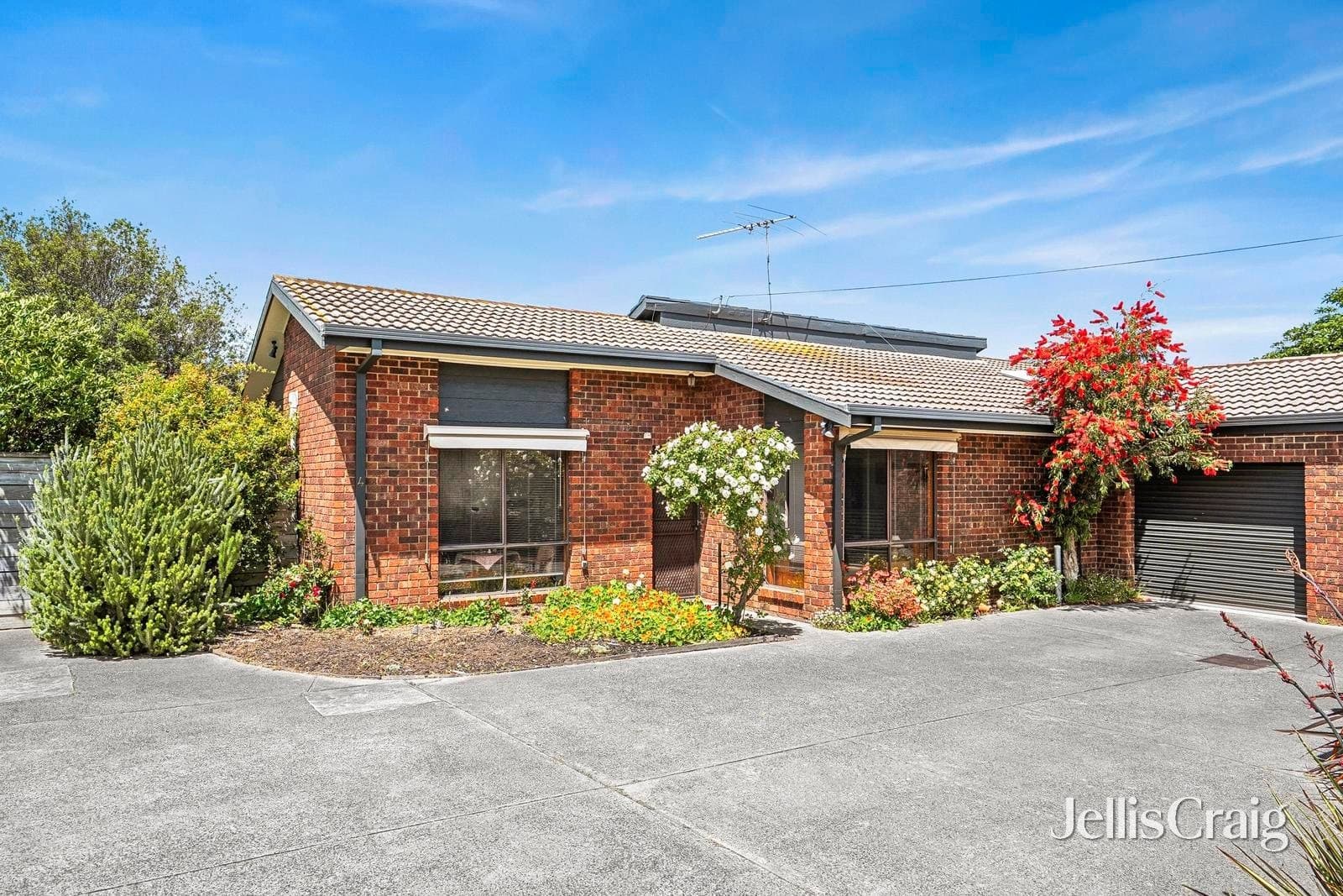 4/83-85 Drysdale Avenue, Hamlyn Heights, Hamlyn Heights - Thumbnail 3