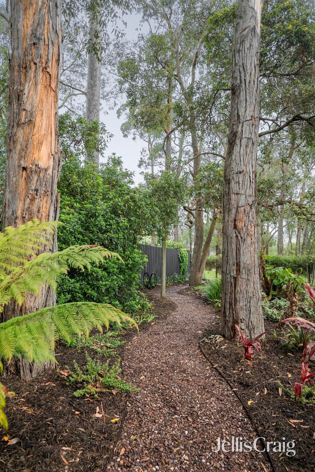 1 Pardin Court, Bayswater North, Bayswater North - Image 1