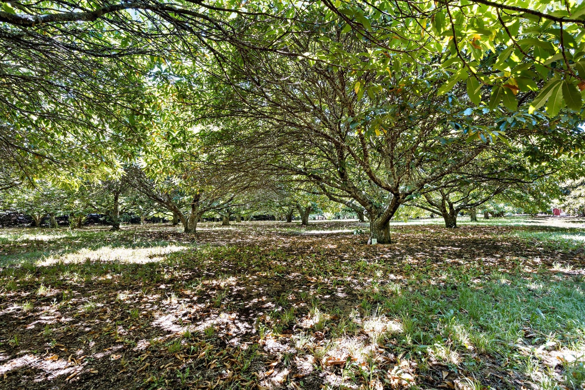 10/23 Collins Road, Glenlyon, Glenlyon - Thumbnail 6
